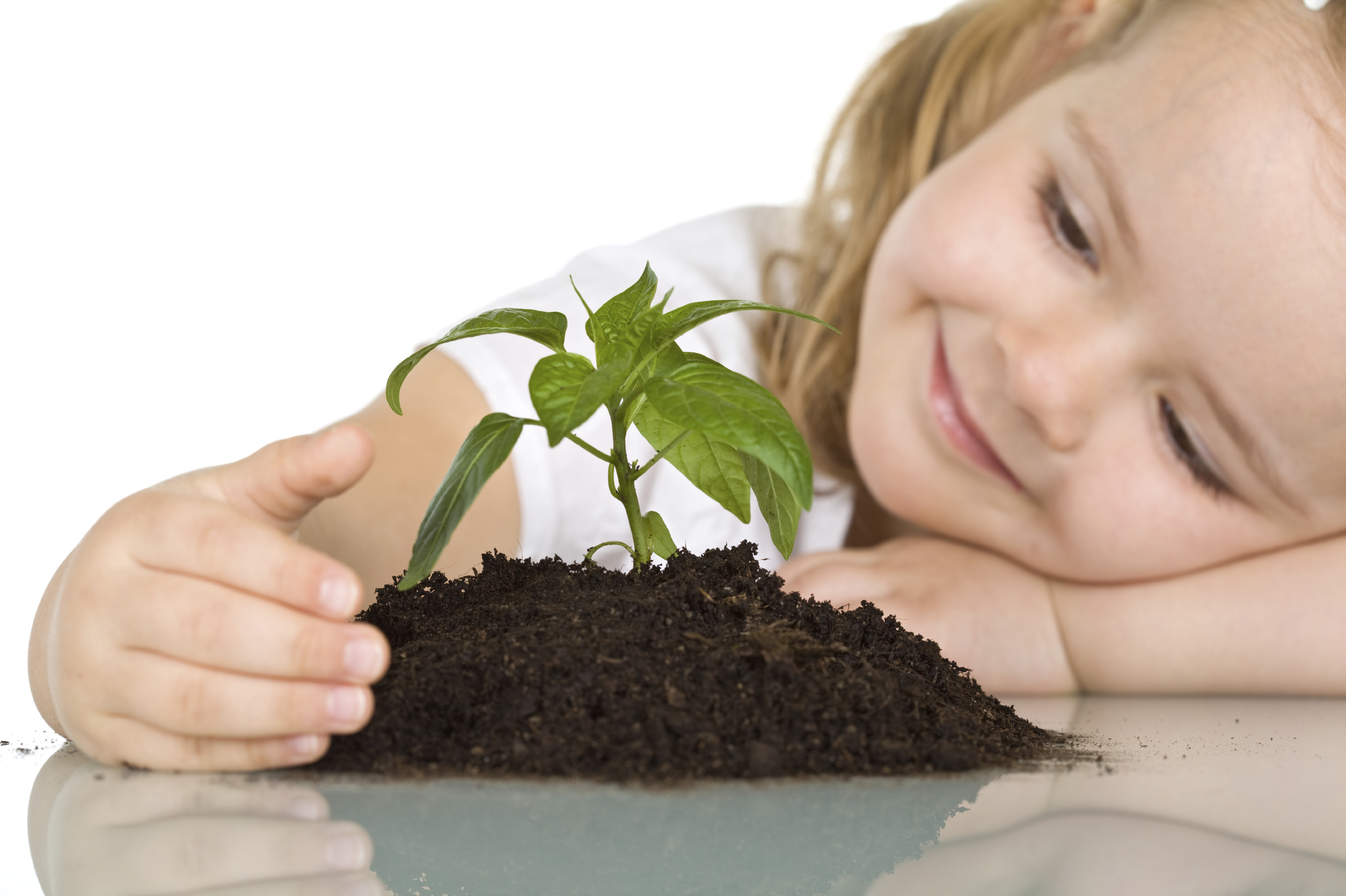 Заботиться ответственность. Детям об экологии. Окружающая среда ребенка. Растения для детей. Ответственность детей.